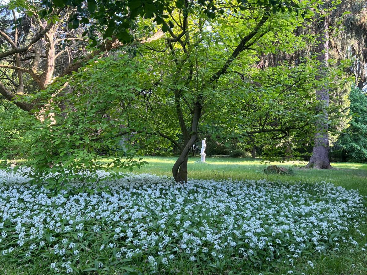 Park Reichenbach * Reichenbach (Oberlausitz)